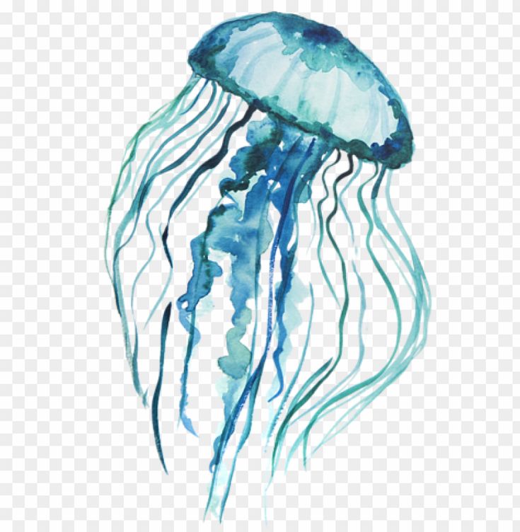 a watercolor painting of a jellyfish