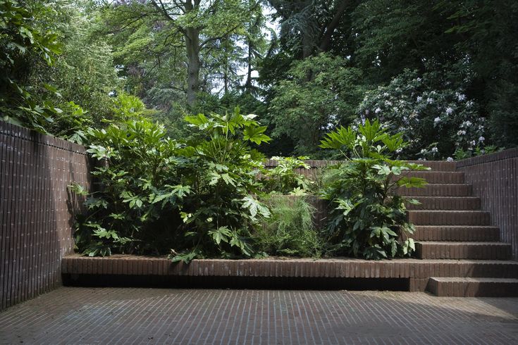 an outdoor area with brick steps and plants growing on the wall, surrounded by trees