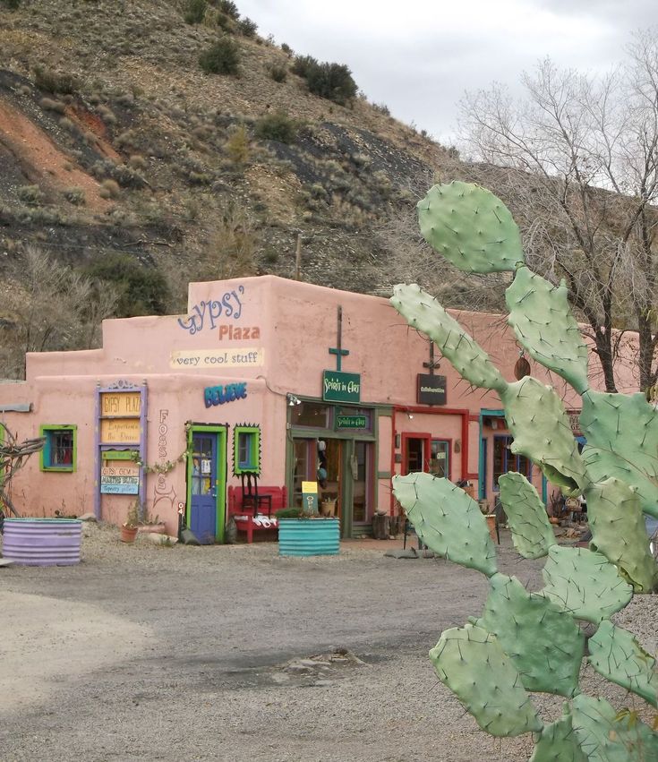 a cactus in front of a small store