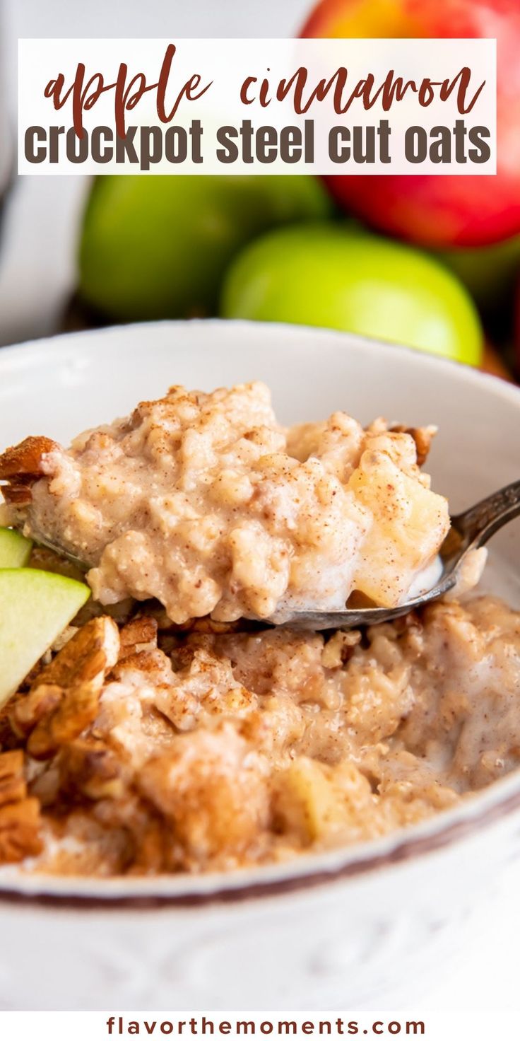 apple cinnamon crockpot steel cut oats in a white bowl with a spoon