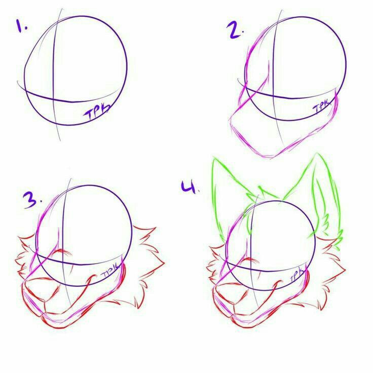 how to draw an anime character's head with different angles and hair styles, including the