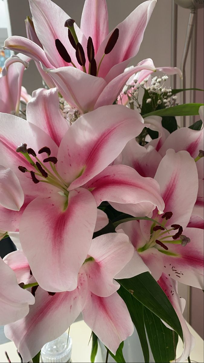 pink flowers in a vase on a table