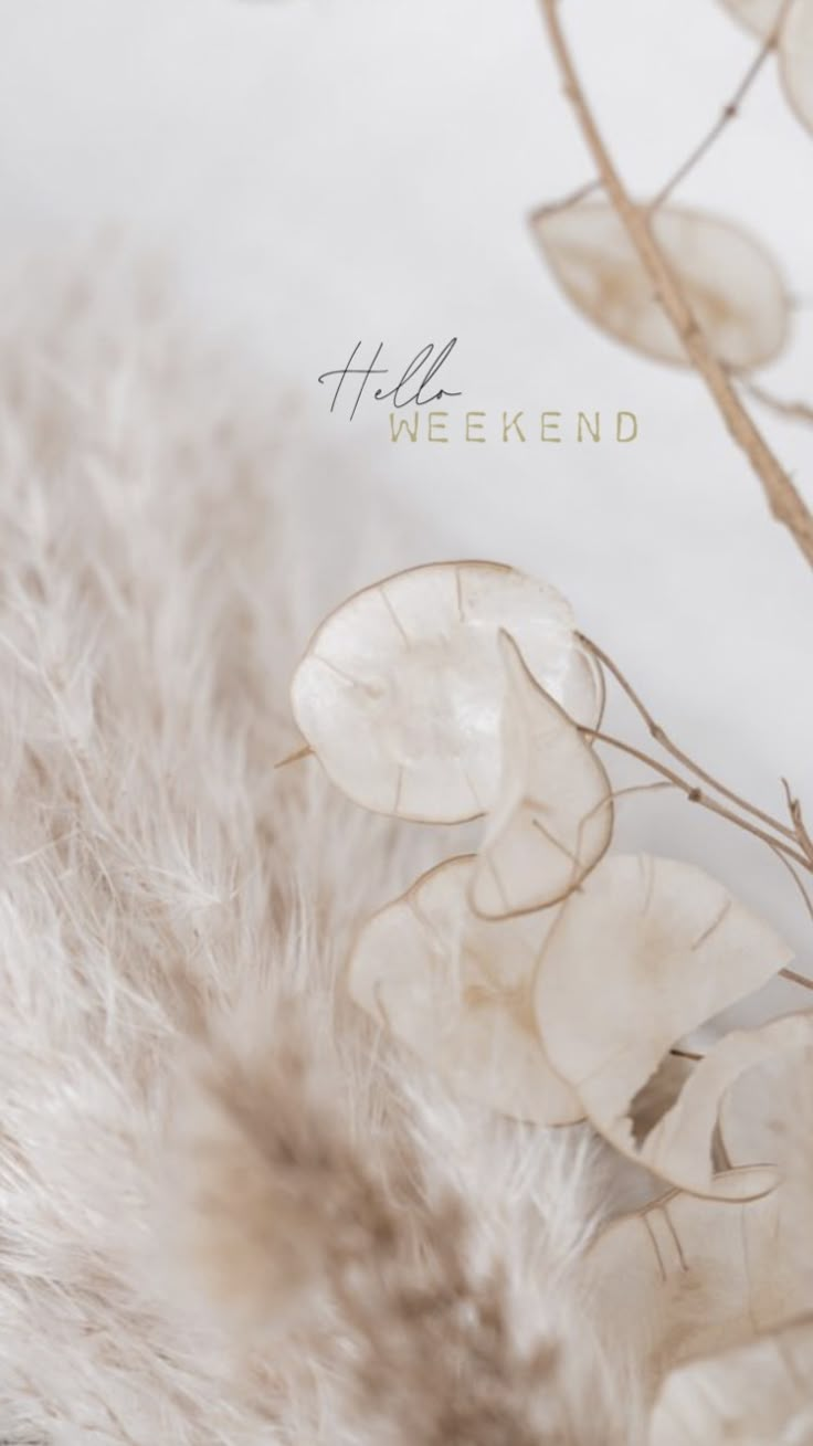 a close up view of some white flowers and branches with the words hello weekend written on it