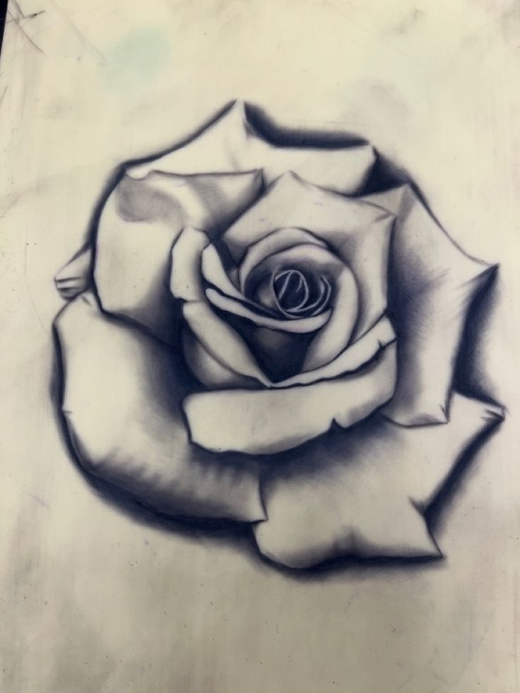 a drawing of a white rose on a piece of paper