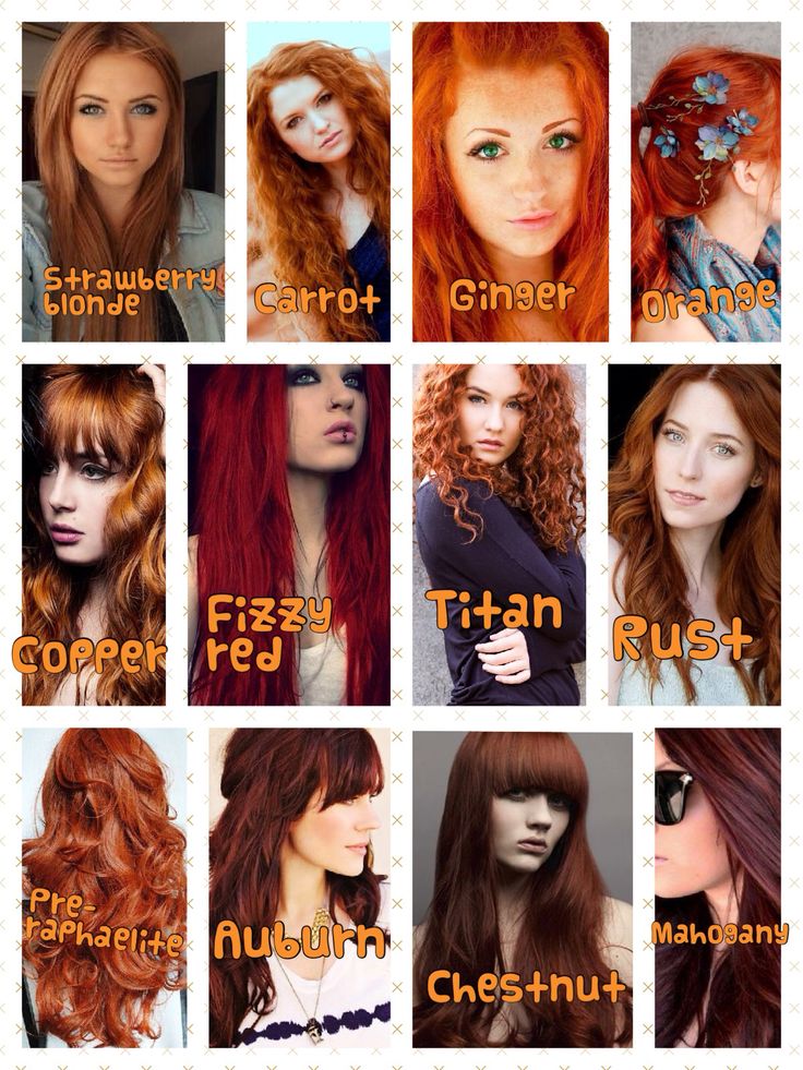 I love every shade of red ❤️ my hair is definitely a Titan ginger ! Shades Of Natural Red Hair, Types Of Red Hair, Different Shades Of Red Hair, Types Of Red, Shades Of Red Hair, Natural Red Hair, Different Shades Of Red, Hair Color Burgundy, Hair Color Auburn