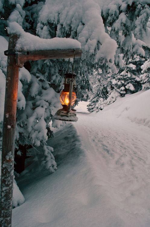 a light that is on some kind of pole in the snow with trees behind it