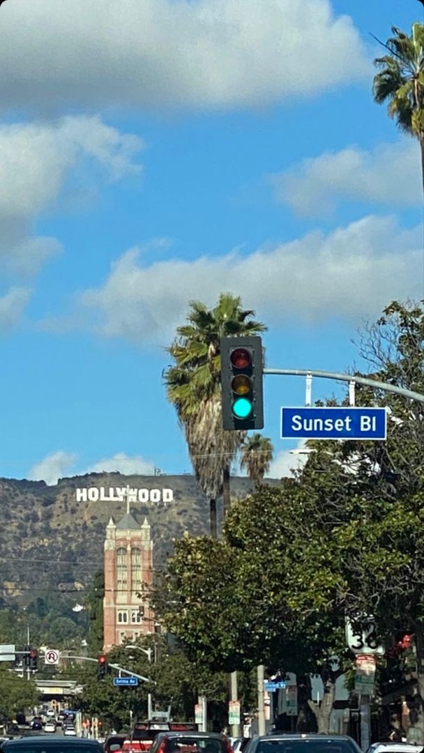 the traffic light is green at sunset blvd, with palm trees in the background