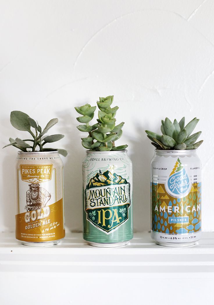 three cans with plants in them sitting on a shelf