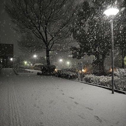 the snow is falling and there are street lights in the distance on this snowy night