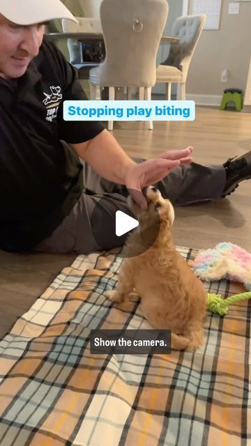 a man sitting on the floor petting a dog