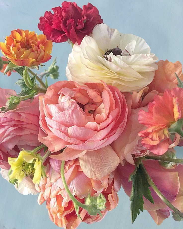 a bunch of flowers that are sitting on a table in front of a blue background