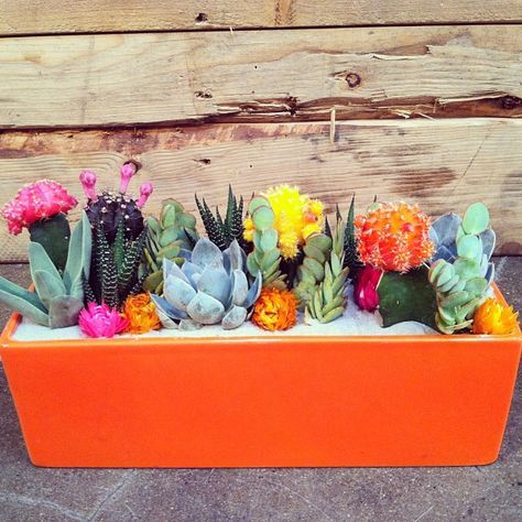 an orange planter filled with succulents and flowers