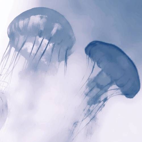 two blue jellyfish swimming in the ocean water on a cloudy day with white clouds