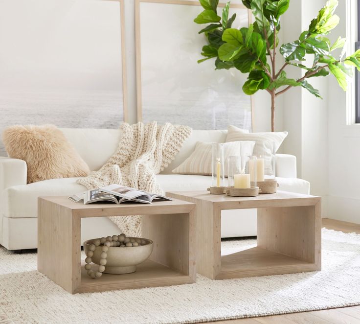 a living room filled with furniture and a potted plant on top of a table