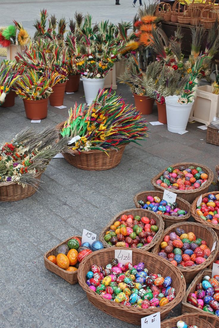 many baskets filled with different types of colorful candies and plants on the ground next to each other