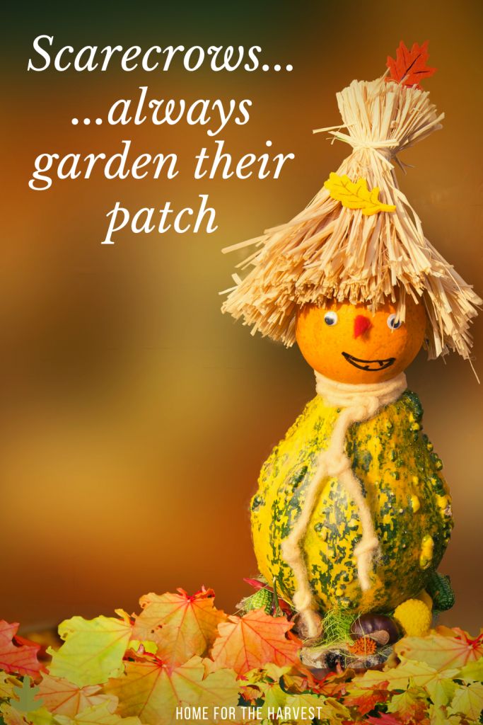 a scarecrow is sitting on top of some leaves with the caption scarecrows always garden their patch