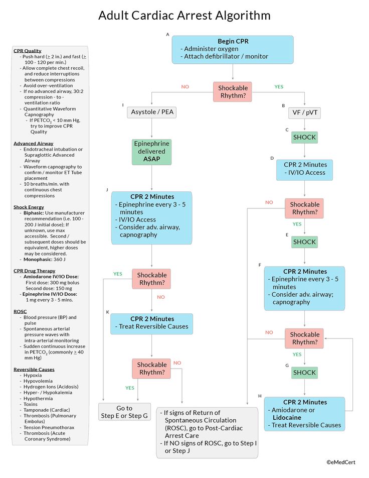 an adult care plan is shown in this diagram, with the following steps to complete it