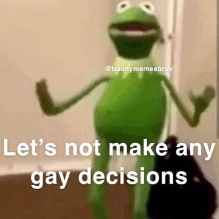 kermik the frog saying let's not make any gay decision