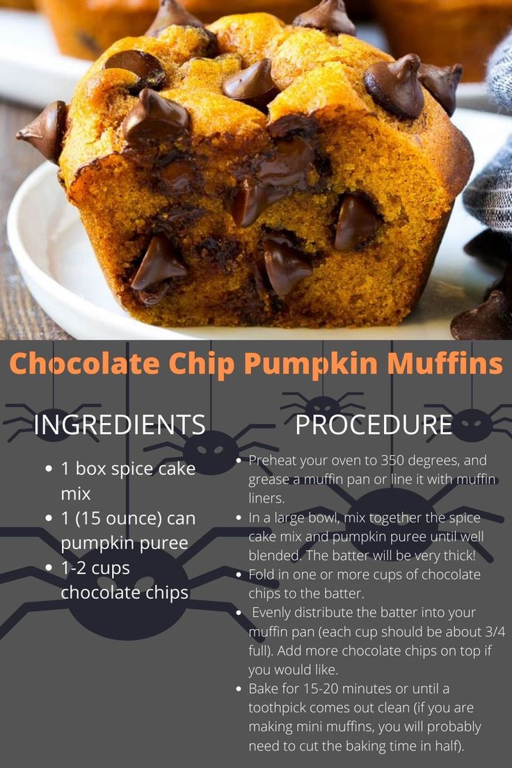 chocolate chip pumpkin muffins recipe on a plate