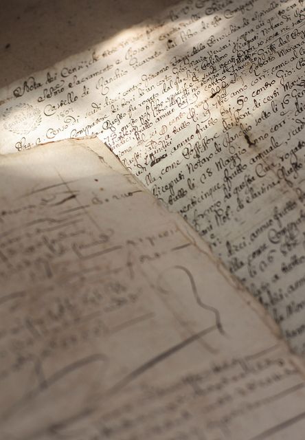 an old book with writing on it in the sun shining through some leaves and shadows