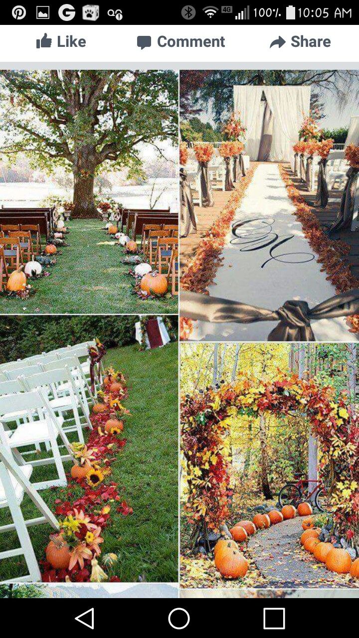 the wedding ceremony is decorated with pumpkins and flowers