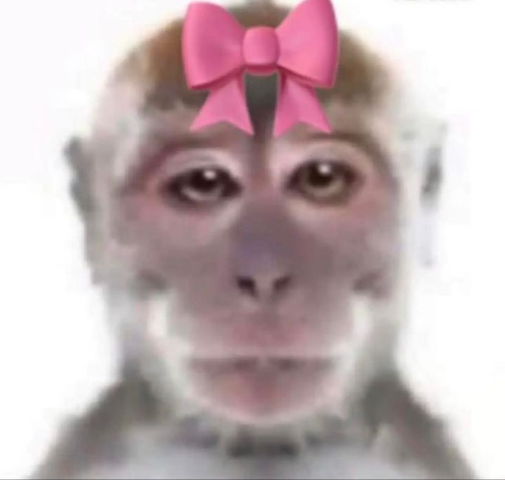 a monkey with a pink bow on it's head is shown in this image