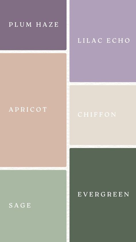 four different shades of paint with the words plum haze, lila echo, apricot, chiffon and evergreen