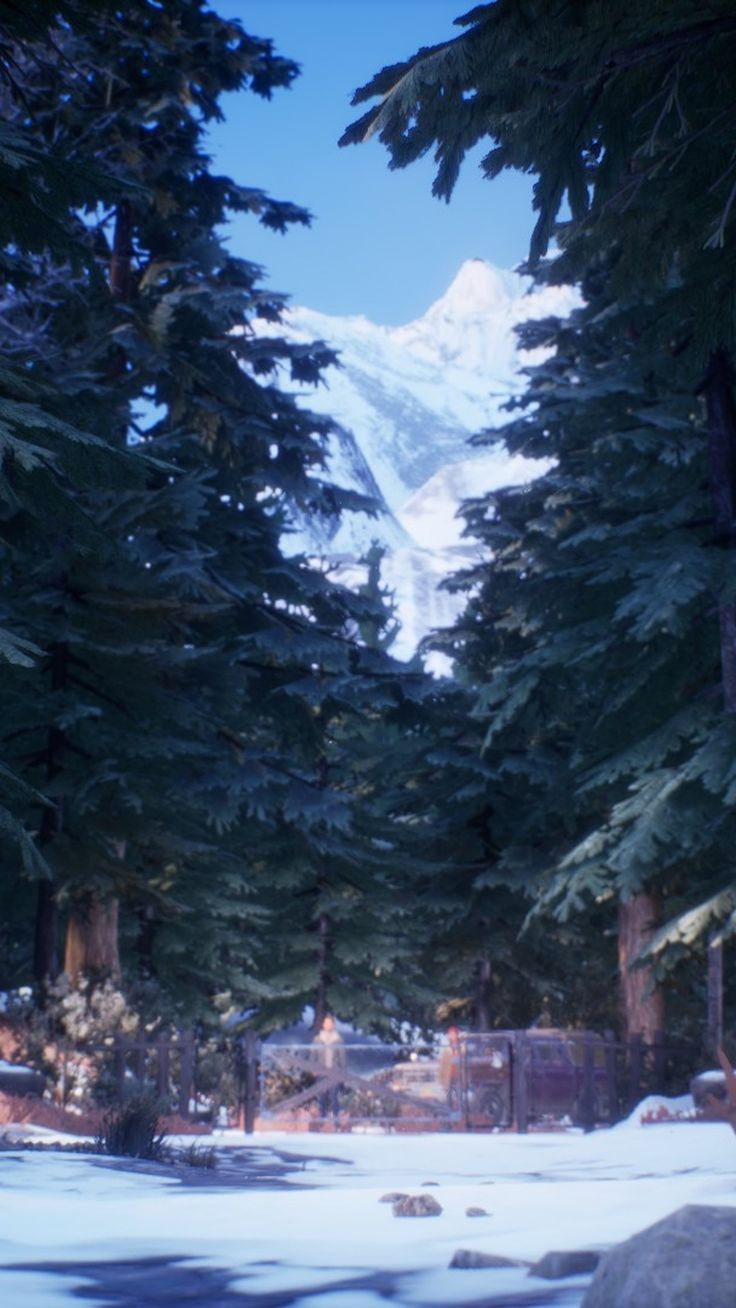 the snow covered ground is surrounded by tall trees