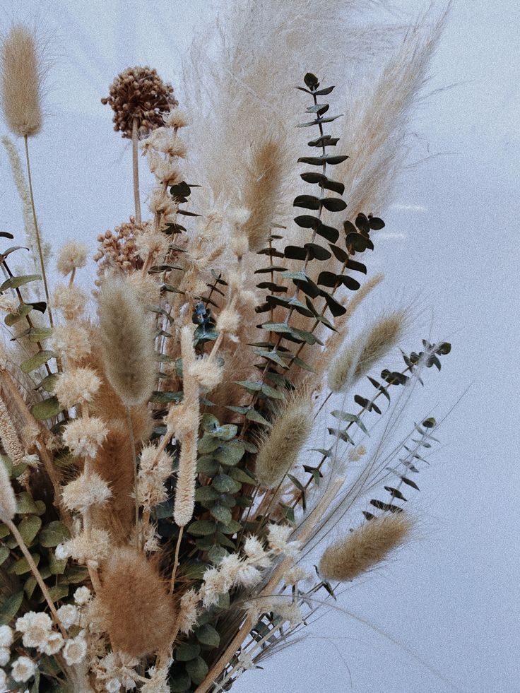 a vase filled with lots of different types of flowers and plants next to each other