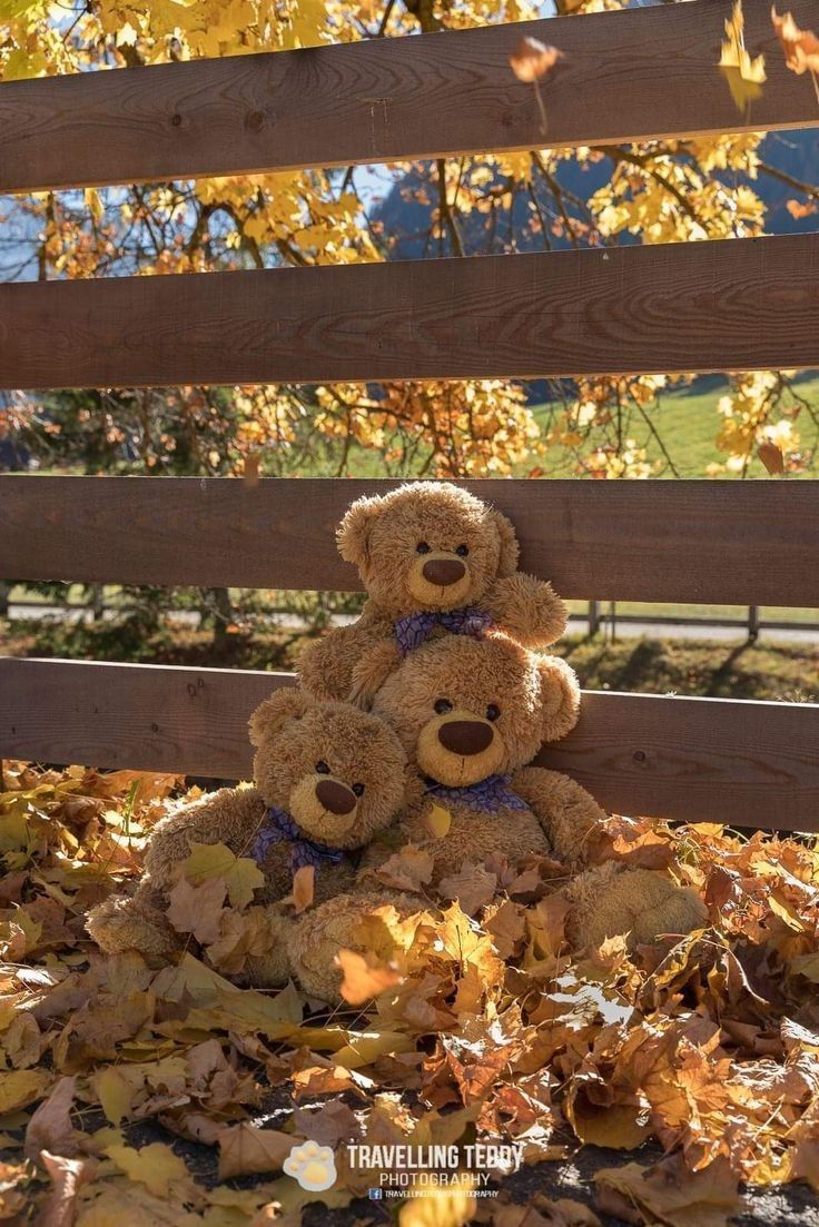 two teddy bears sitting on top of leaves in front of a wooden fence and tree