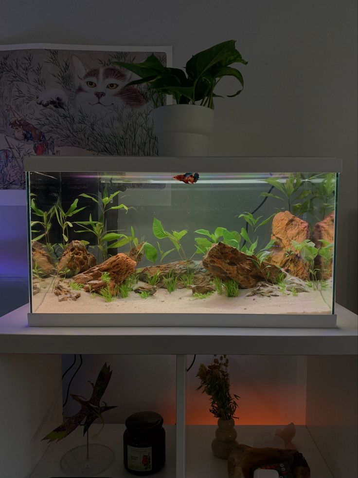 a fish tank with plants and rocks in the bottom half, sitting on top of a shelf