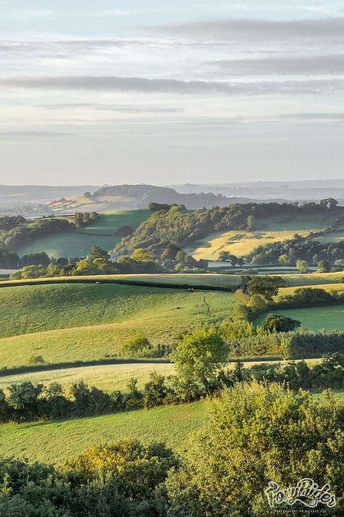 the rolling hills are green with trees on each side and grass in the middle, as far as the eye can see