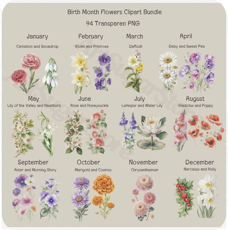 the birth month flowers clipart bundle is shown in this graphic style, and includes different types