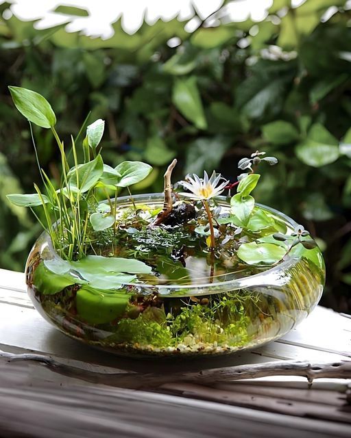 a glass bowl filled with water and plants