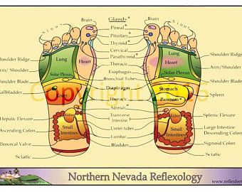 Reflexology Hand Chart | Etsy Chinese Reflexology, Reflexology Hand, Hand Pressure Points, Hand Chart, Healthy Grocery Lists, Foot Massage Techniques, Lymph Drainage Massage, Sigmoid Colon, Reflexology Points