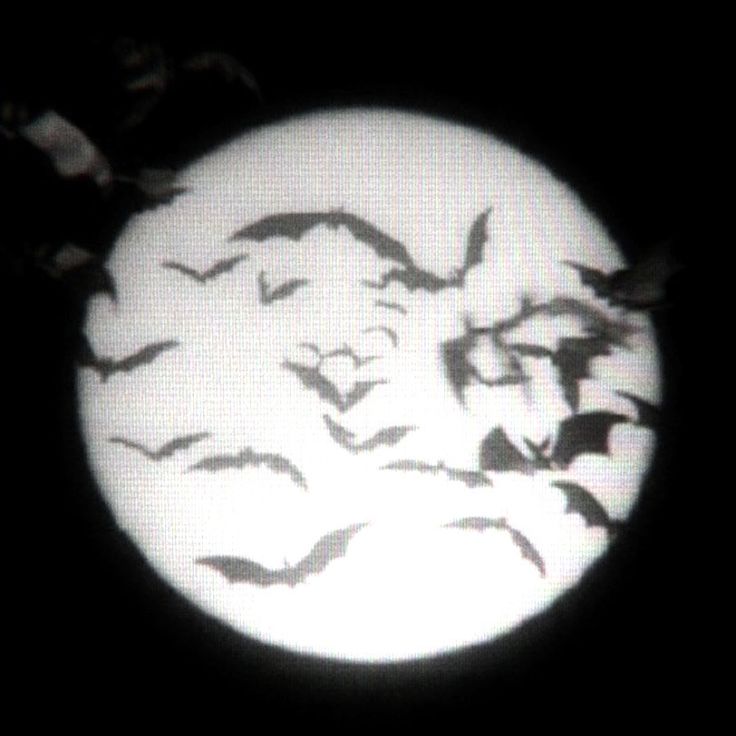 a group of bats flying in front of a full moon with black and white background