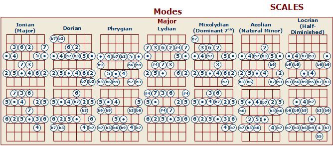 a diagram showing the number and type of scales in each scale, with different numbers on them