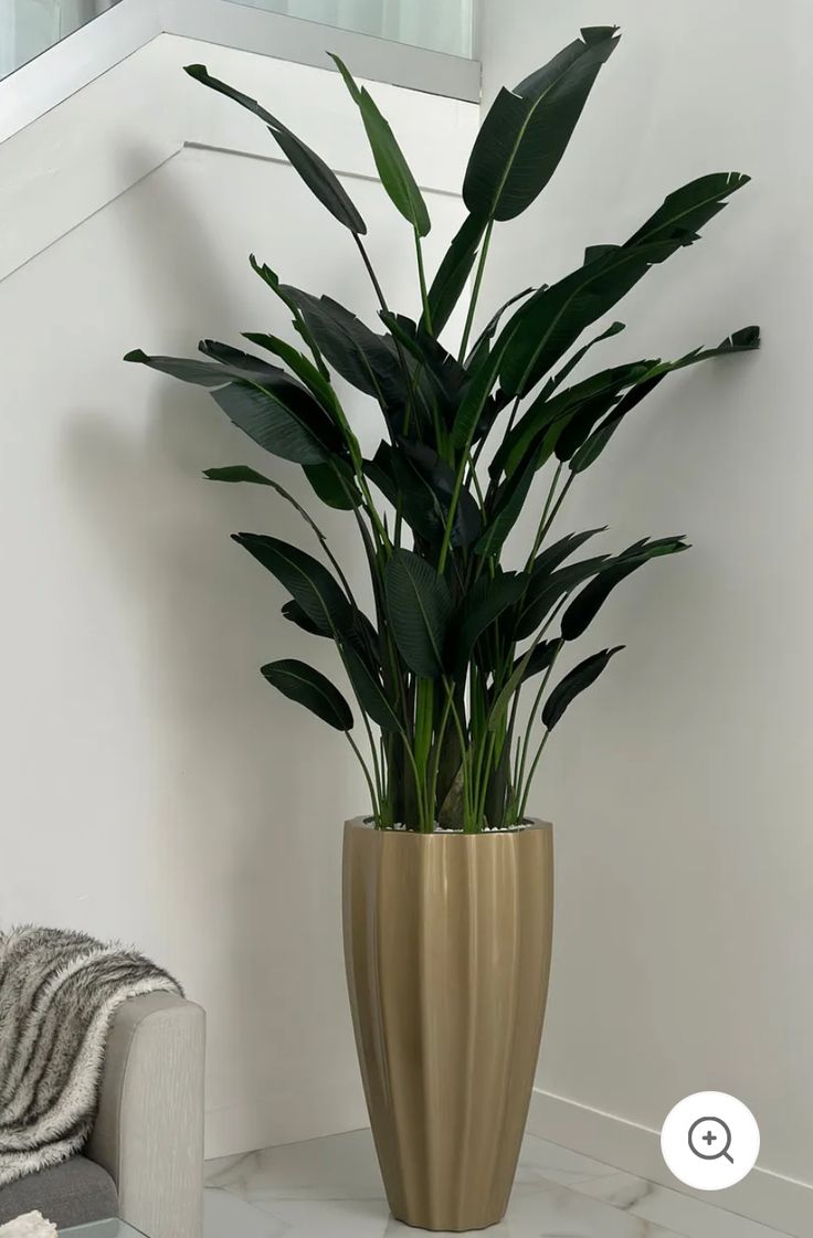 a plant in a gold vase sitting on a table