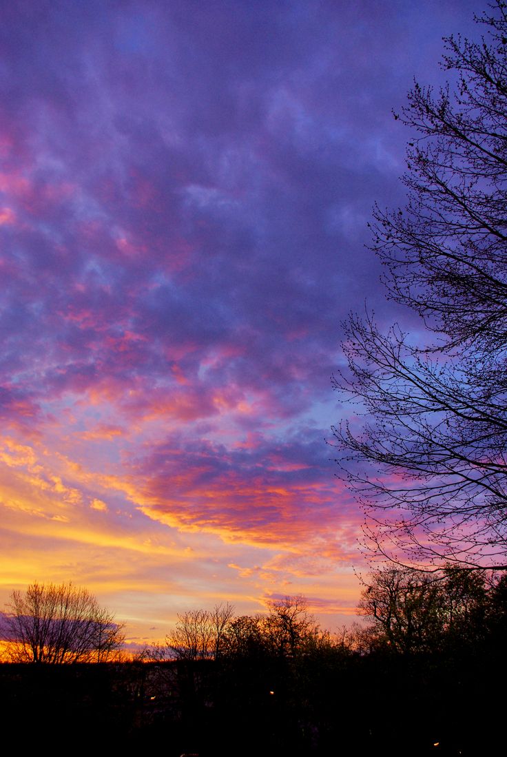 the sky is purple and orange as the sun sets in the distance behind some trees