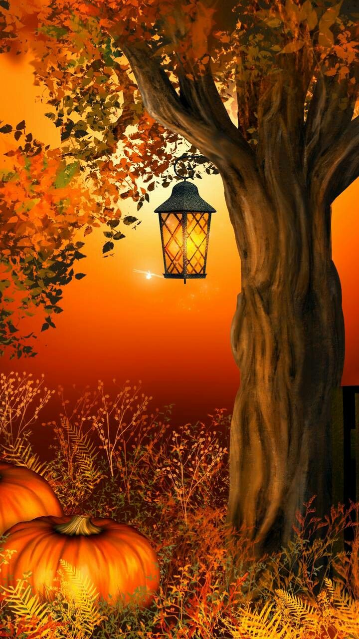 Pin by Kathy Knox on Wallpapers Autumn scenes, Autumn