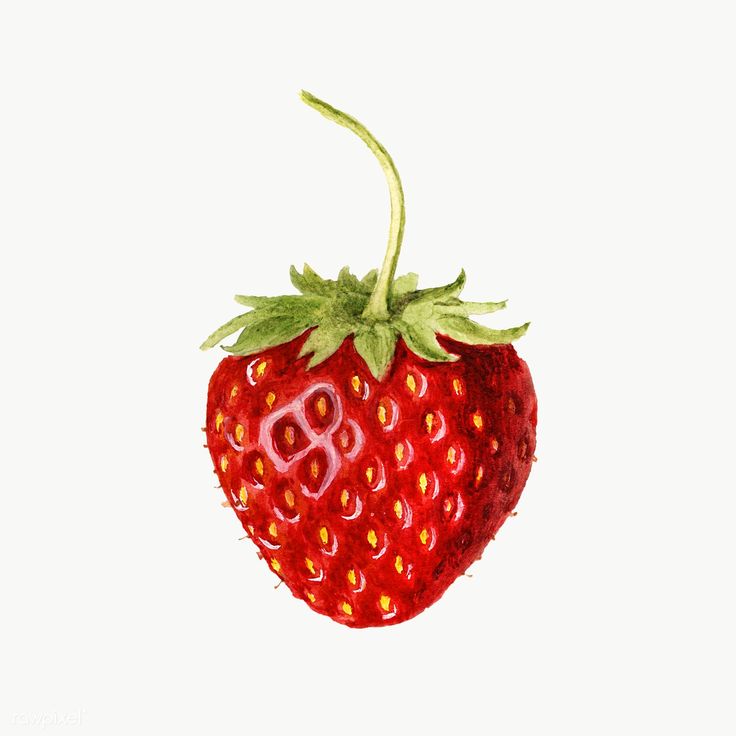 Illustration Mockup, Strawberry Illustration, Strawberry Png, Apple Illustration, Strawberry Leaves, Watercolor Collection, Strawberry Flower, Free Illustration Images, Leaves Illustration