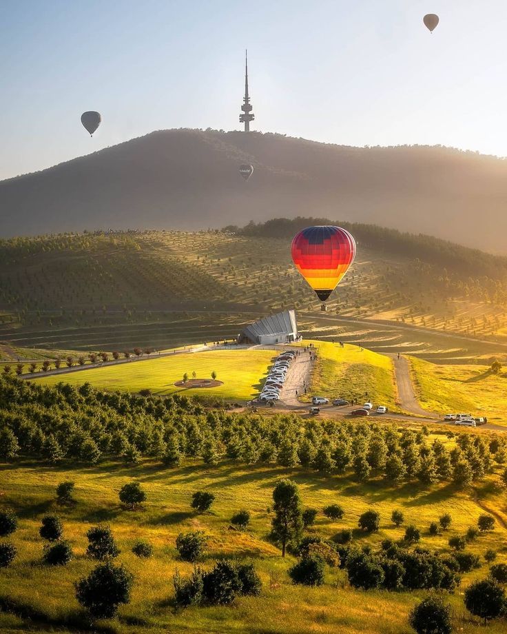 several hot air balloons flying over a green field