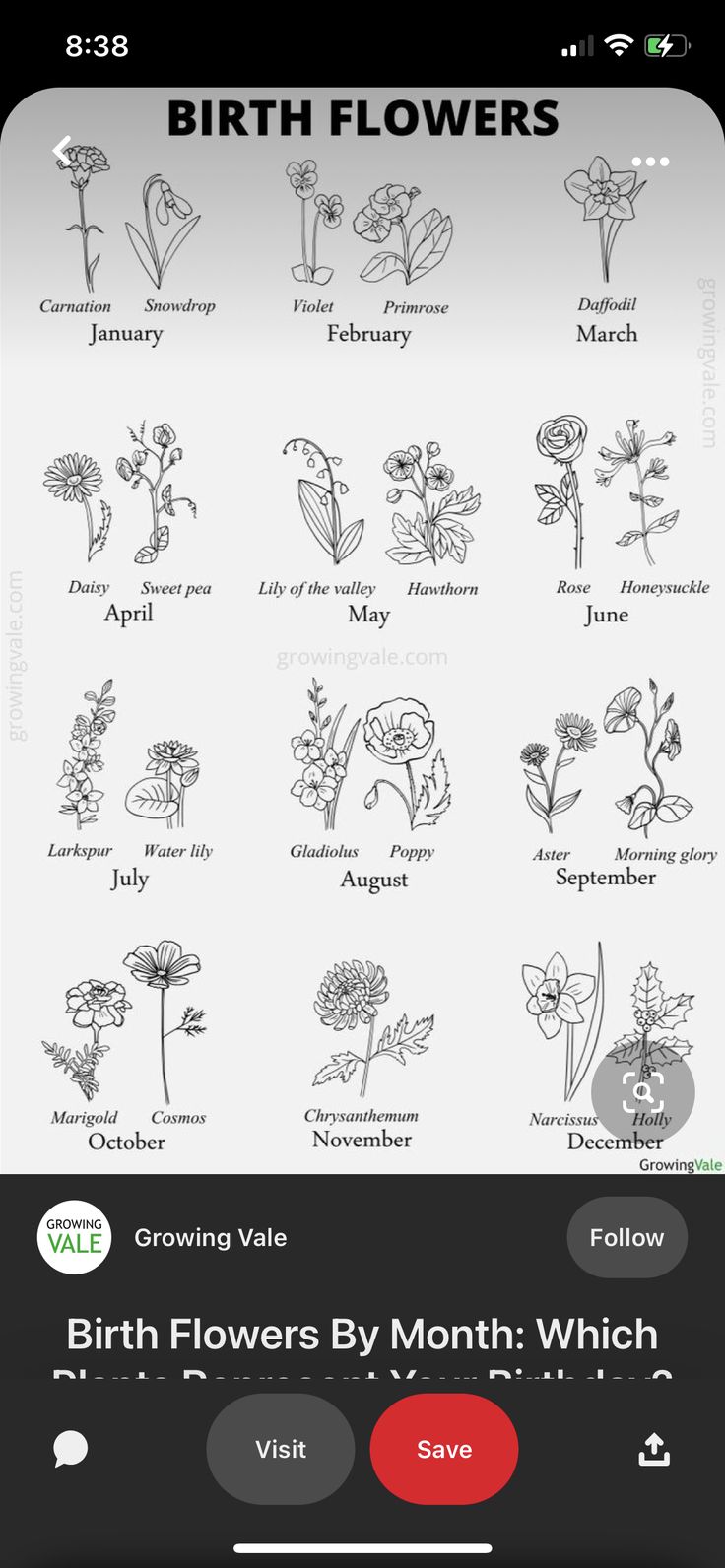 the birth flowers app on an iphone, which is showing different types of birth flowers