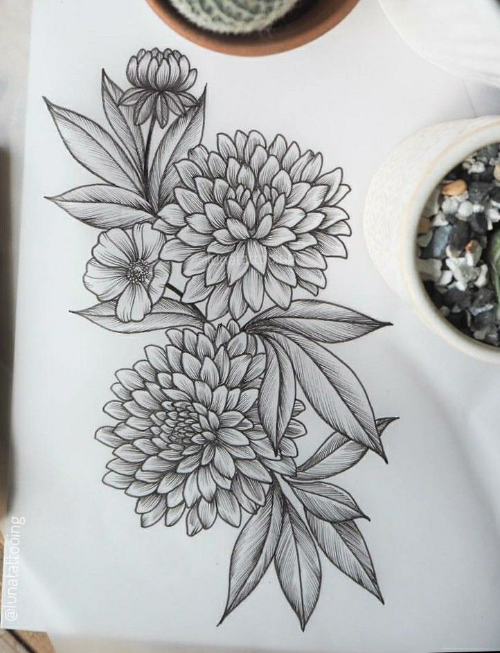 a drawing of flowers on paper next to a potted succulent and some rocks