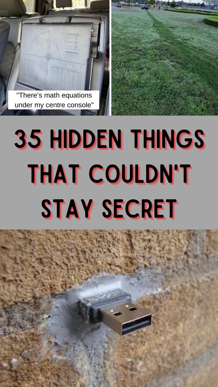 the back of a truck with text that reads, 35 hidden things that couldn't stay