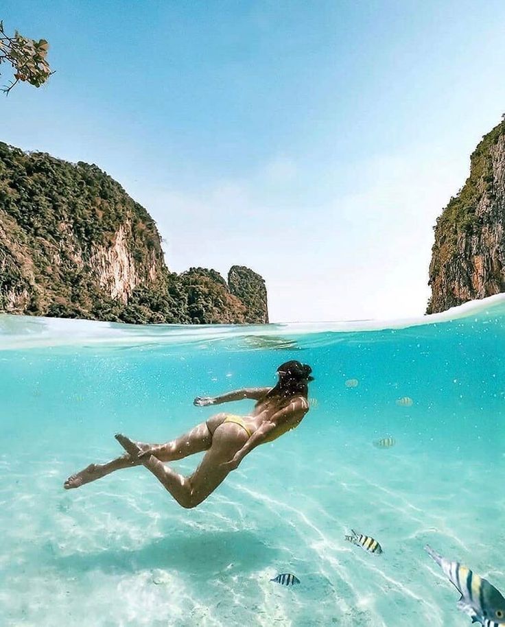 a woman swimming in the ocean with fish around her