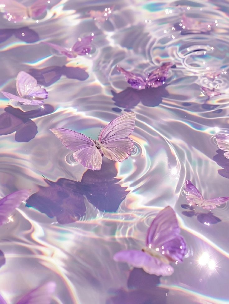 purple butterflies floating in water with ripples on the surface and sunlight reflecting off them