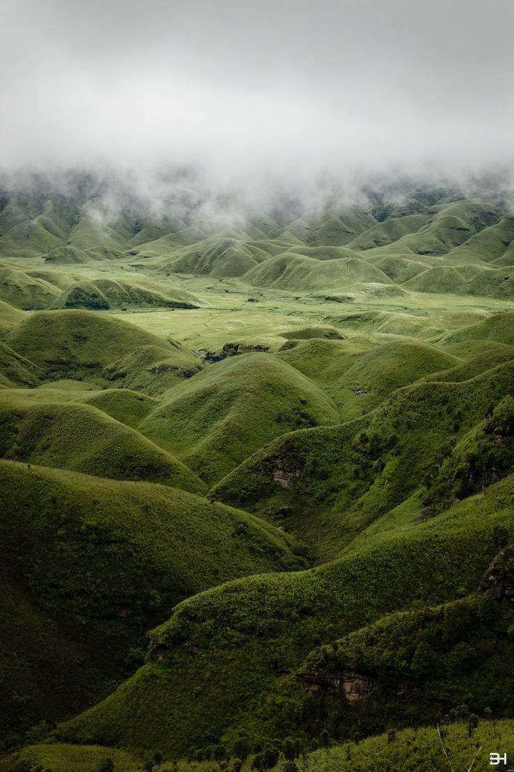 the green hills are covered in fog and clouds