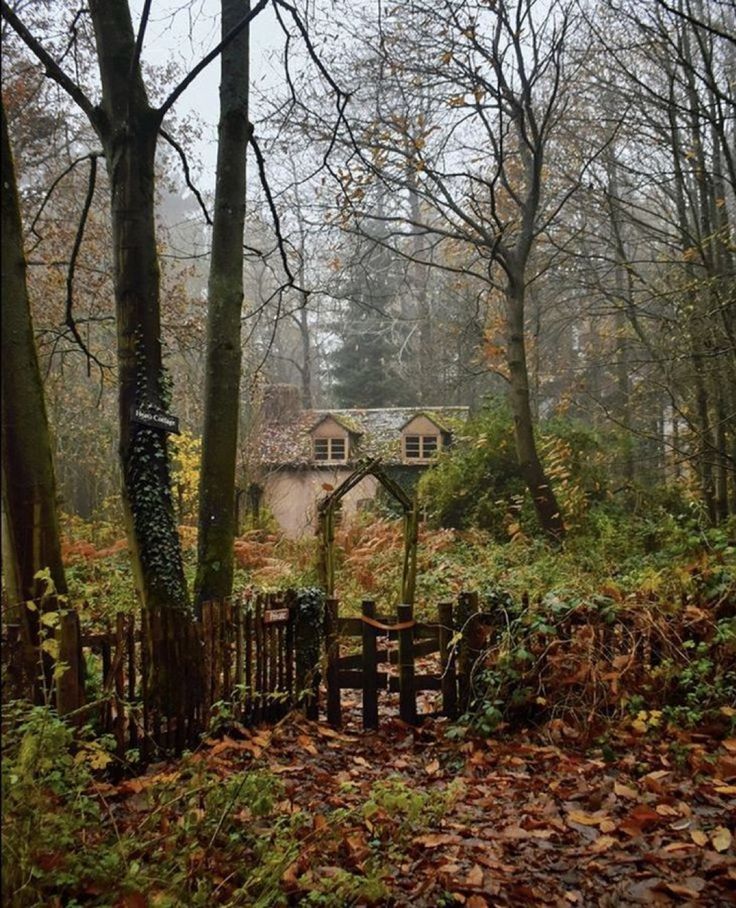 an old house in the woods surrounded by trees and leaves with a fence around it