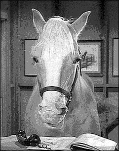 a black and white photo of a horse in a room with pictures on the wall